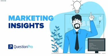 market insights for business growth