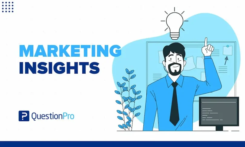 market insights for business growth